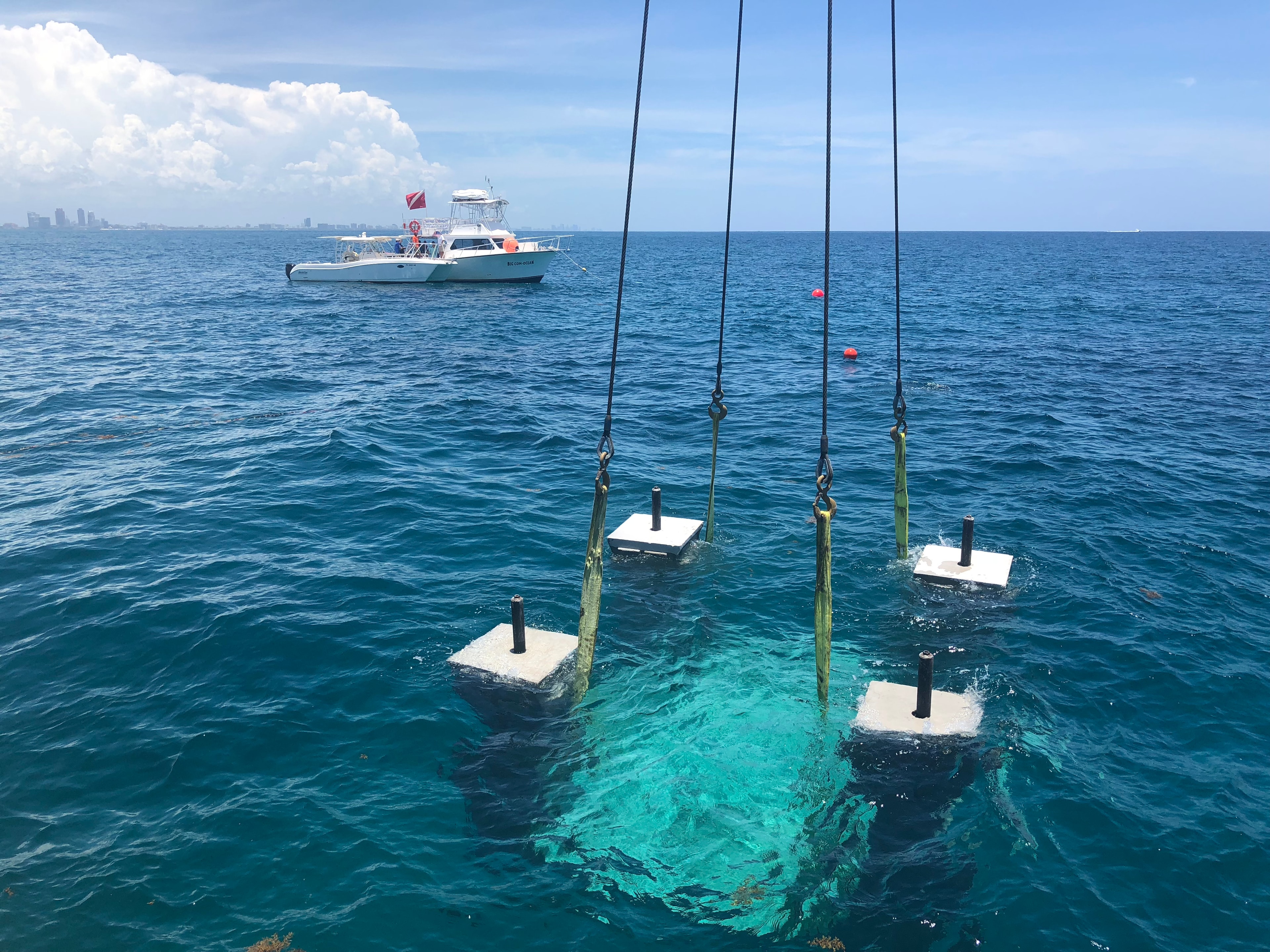 Marine & Coastal Construction